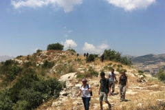 IMG_0428 (Large)
