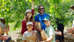 Cherry Picking 20-06-2020