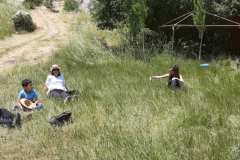 20200620_132551 (Medium)