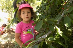 DSCN0044