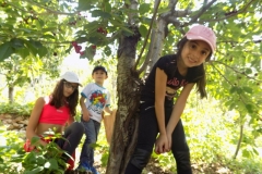 DSCN0046