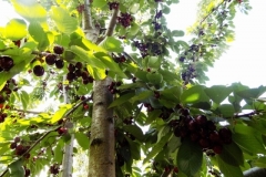 DSCN0048