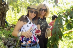 DSCN0049