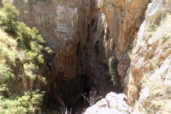 DSCN0097