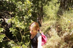 DSCN0098