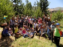Cherry Picking Tannourine 26-06-2017