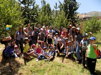Cherry Picking Tannourine 26-06-2017