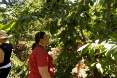 DSCN0074