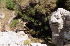 DSCN0121