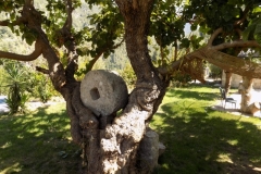 DSCN0030