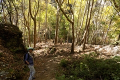 DSCN0054
