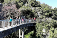 20210313_092040 (Medium)