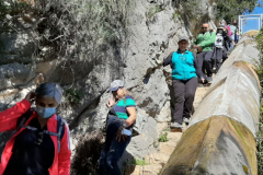 20210313_093356 (Medium)