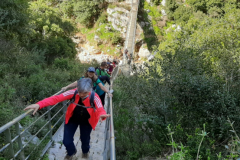 20210313_093930 (Medium)