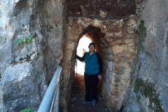 20210313_094732 (Medium)