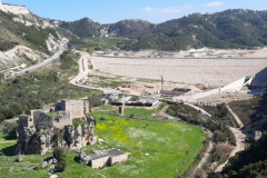 20210313_094826 (Medium)