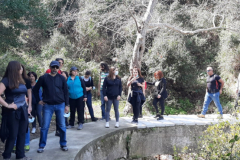 20210313_102624 (Medium)