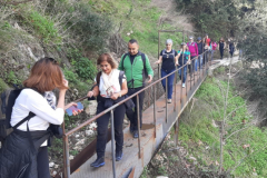 20210313_103113 (Medium)