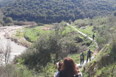 20210313_113018 (Medium)