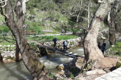 20210313_121013 (Medium)