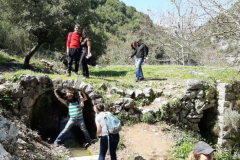 20210313_121020 (Medium)