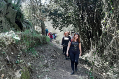 20210313_121358 (Medium)