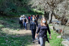 20210313_122437 (Medium)