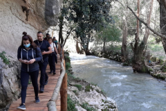 20210313_123032 (Medium)