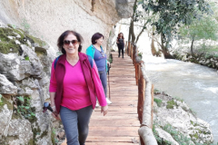 20210313_123056 (Medium)