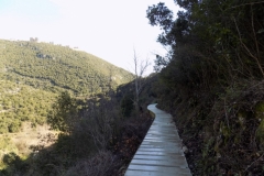 DSCN0012 (Medium)