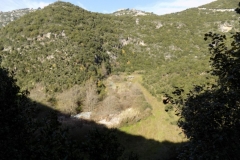 DSCN0014 (Medium)