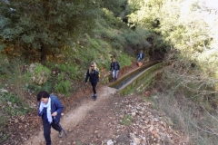 DSCN0033 (Medium)
