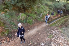 DSCN0034 (Medium)