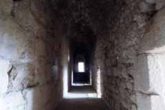 20171210_3726 (Medium)