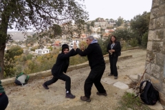 20171210_3771 (Medium)
