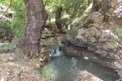 DSCN0061