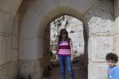 DSCN0088