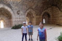DSCN0096