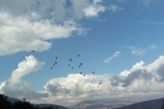 IMG-20181125-WA0013