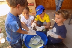 DSCN0104