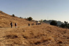 20201029_143954
