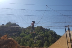 20170820_095943 (Medium)