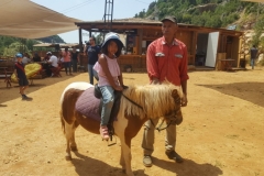 20170820_130158 (Medium)