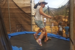 20170820_134046 (Medium)