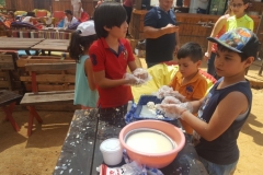 20170820_135518 (Medium)
