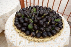 17353193_10155922277183989_6249481686203545088_n