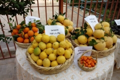 17361974_10155922281893989_3531389149671849639_n