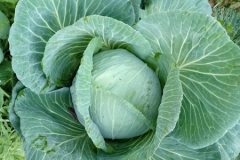 17426381_10155943157308989_4670084852707892545_n