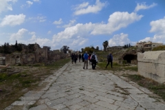 DSCN0061