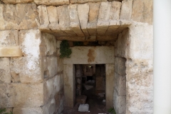 DSCN0064